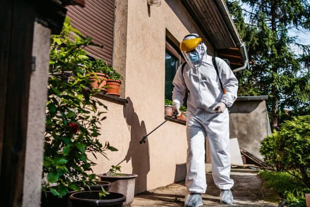 Best Exterminator Services  in Mishicot, WI