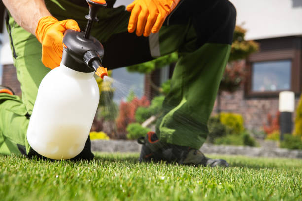 Best Residential Pest Control  in Mishicot, WI