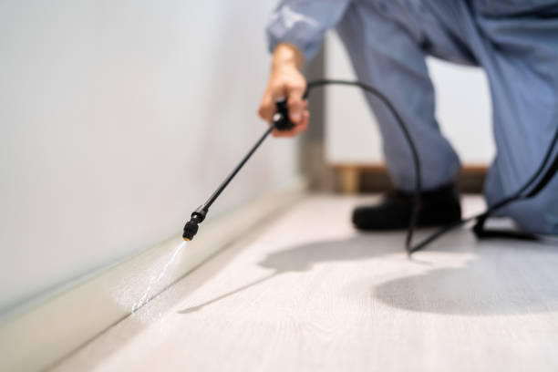 Best Pest Removal Services  in Mishicot, WI