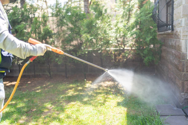 Professional Pest Control in Mishicot, WI
