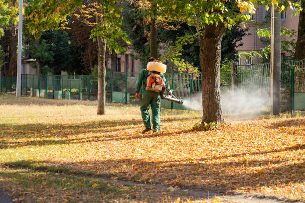 Pest Control for Restaurants in Mishicot, WI