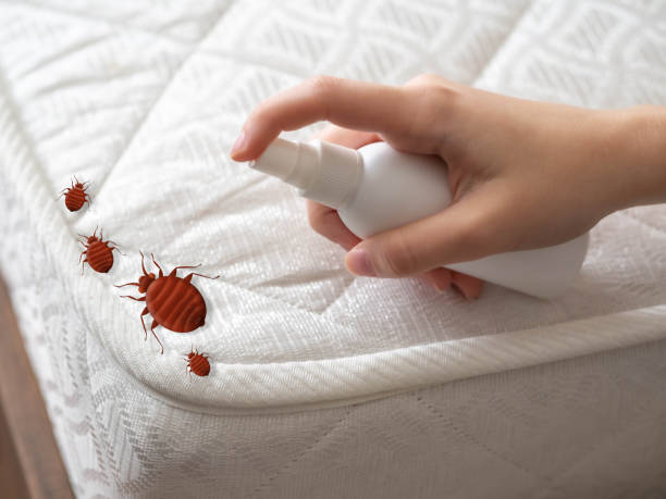 Best Best Pest Control Companies  in Mishicot, WI